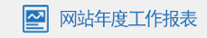 网站年度工作报表